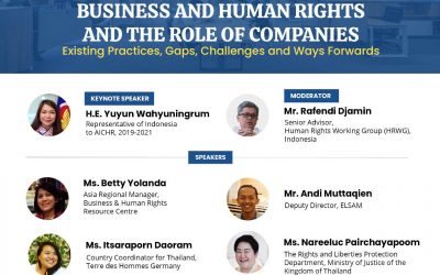 Business and Human Rights and the Role of Companies